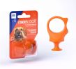 BiteBlock Small - Pets 5-15 lbs- How to brush dog teeth